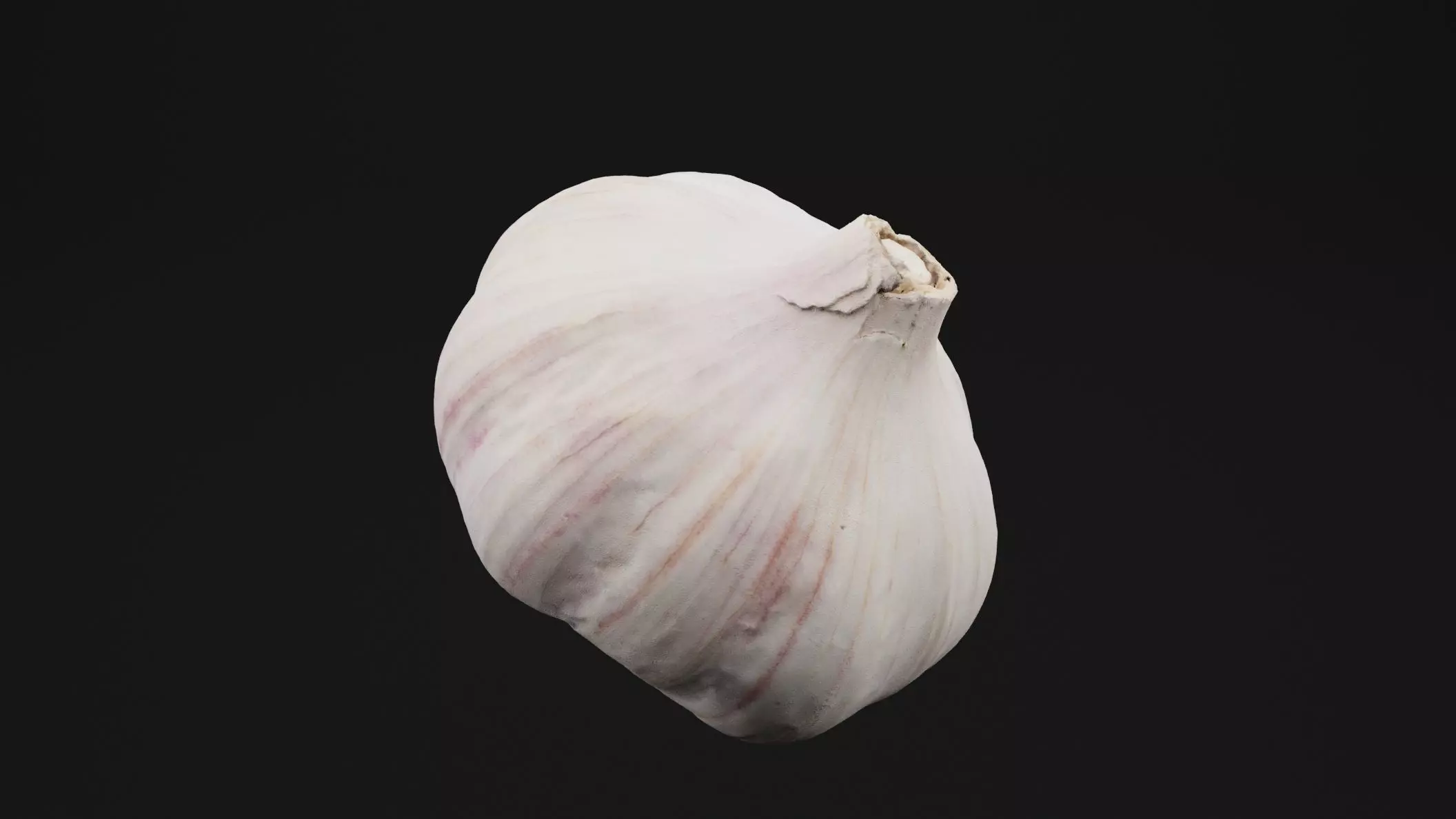 Garlic 3D model_0