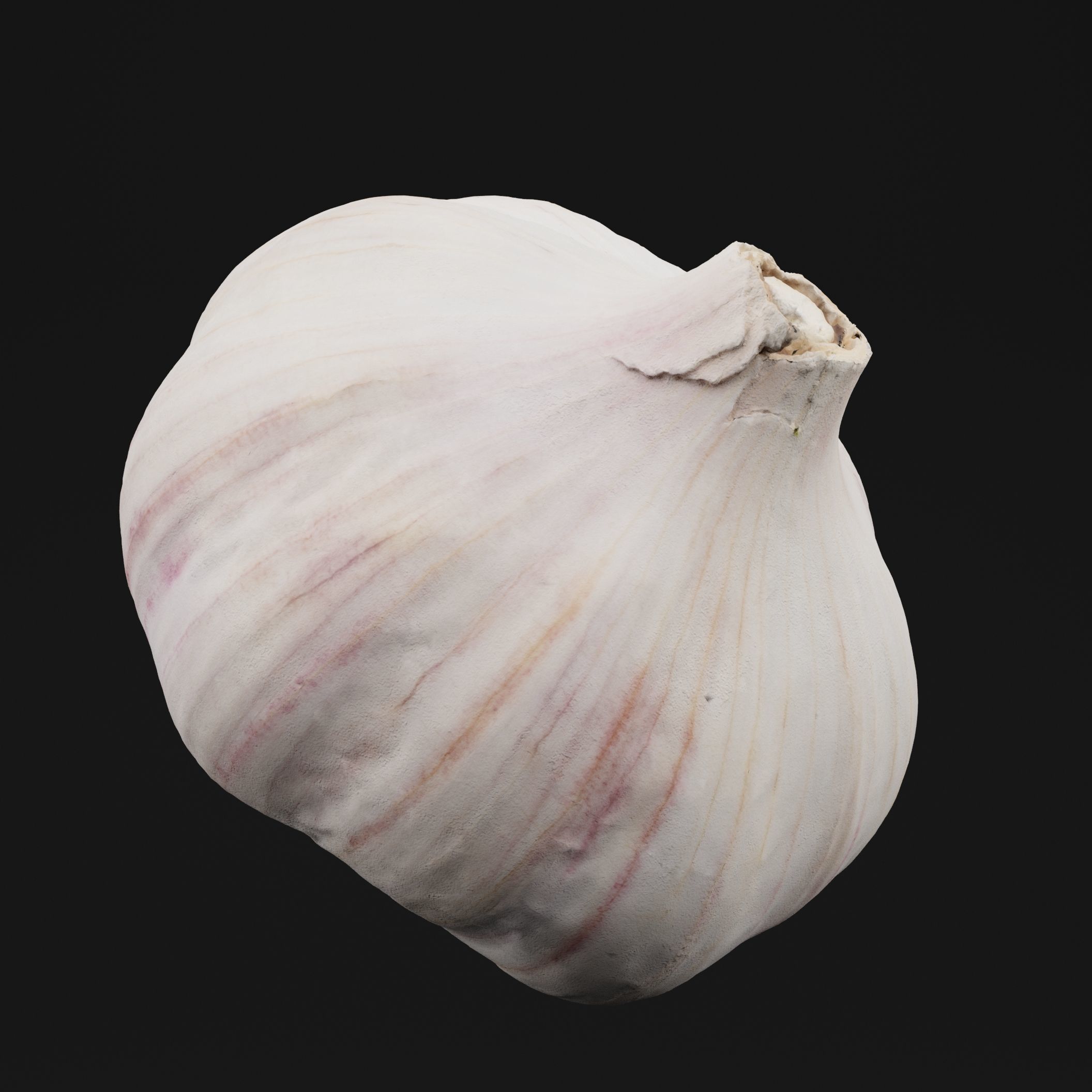 Garlic 3D model_5