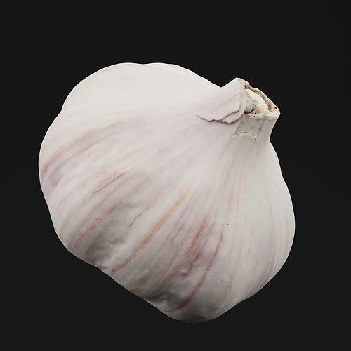Garlic  3D model 6