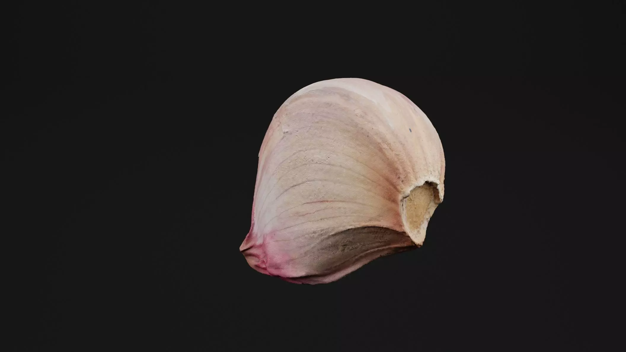 Garlic 3D model_0