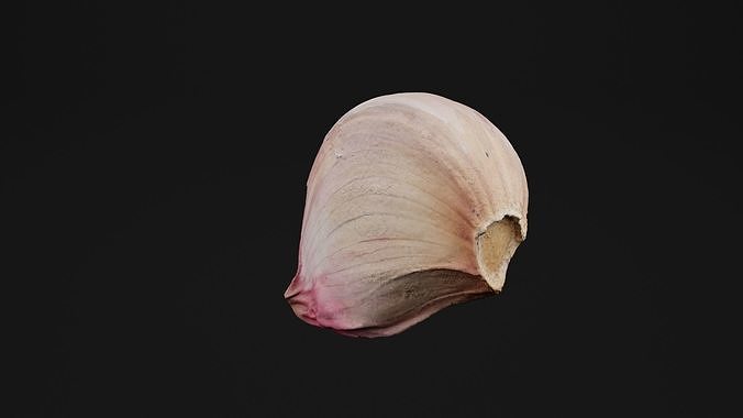 Garlic  3D model