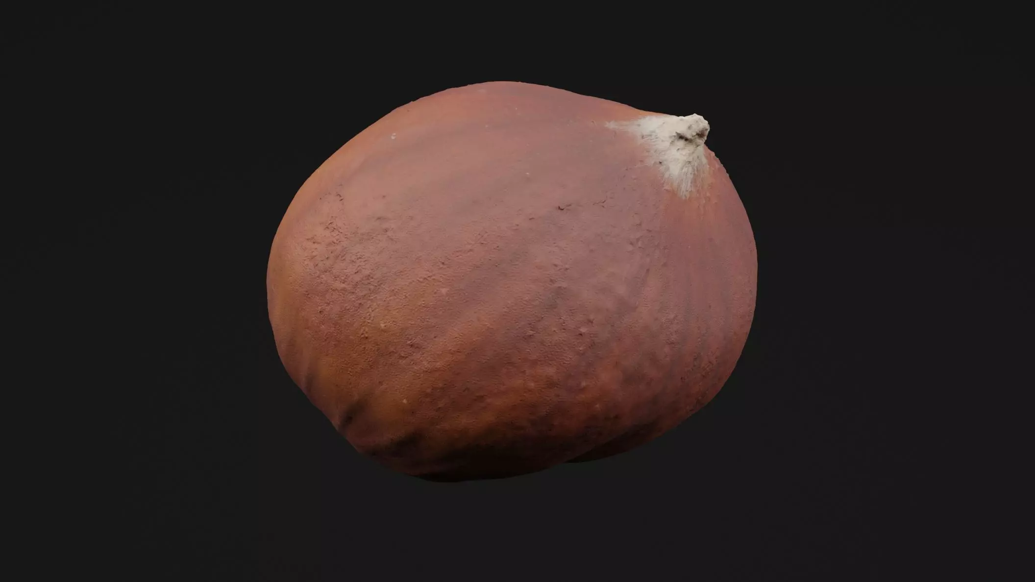 Chestnut 3D model