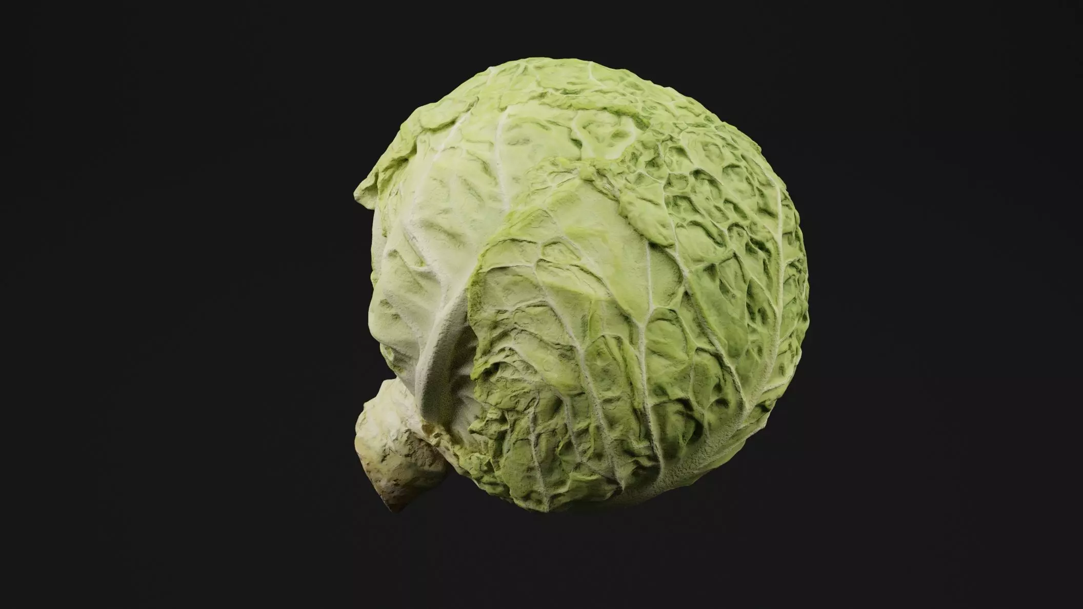 Cabbage 3D model