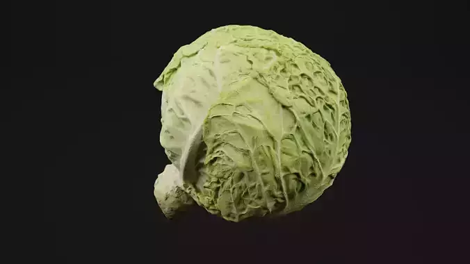 Cabbage