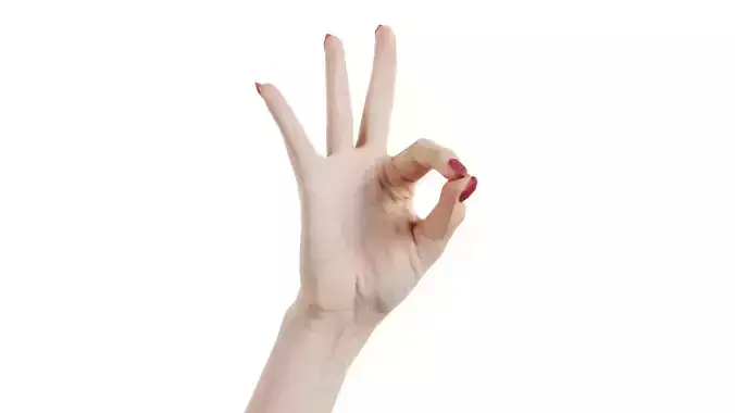 Woman Hand Sign Numbers 9 Low-poly 3D model