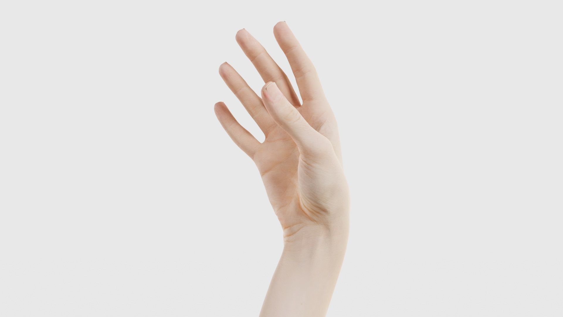 Single Hand 004 Low-poly 3D model_25