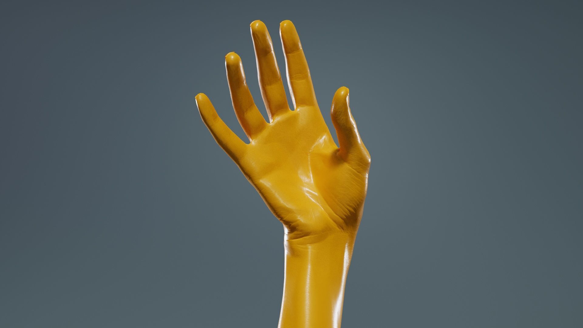 Single Hand 004 Low-poly 3D model_12