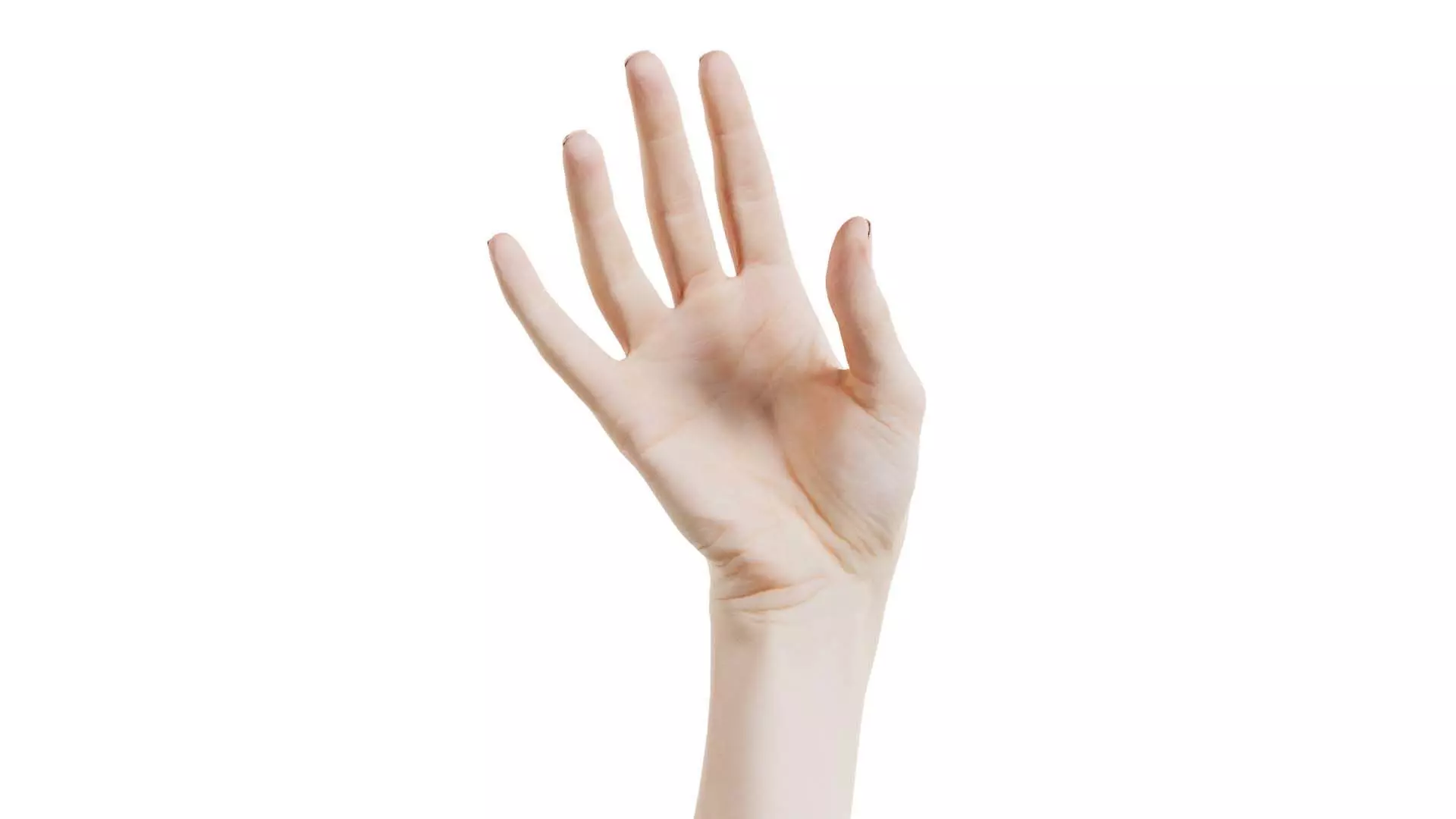 Single Hand 004 Low-poly 3D model_0