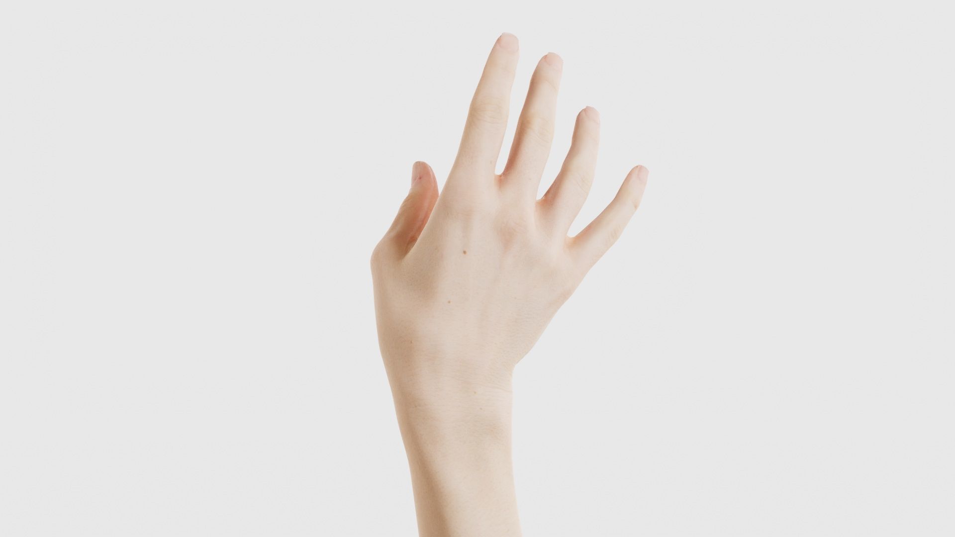 Single Hand 004 Low-poly 3D model_21