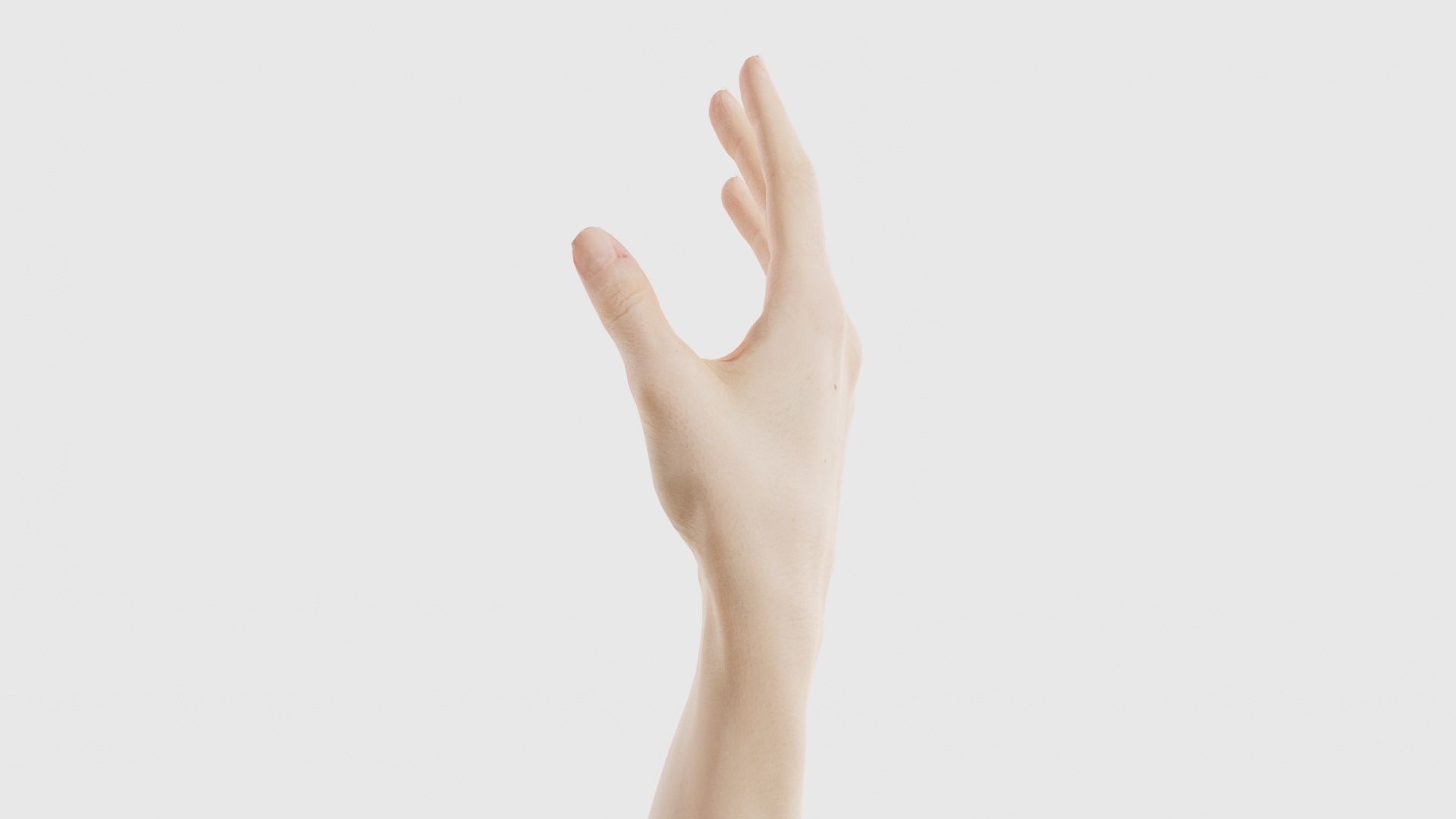 Single Hand 004 Low-poly 3D model_23
