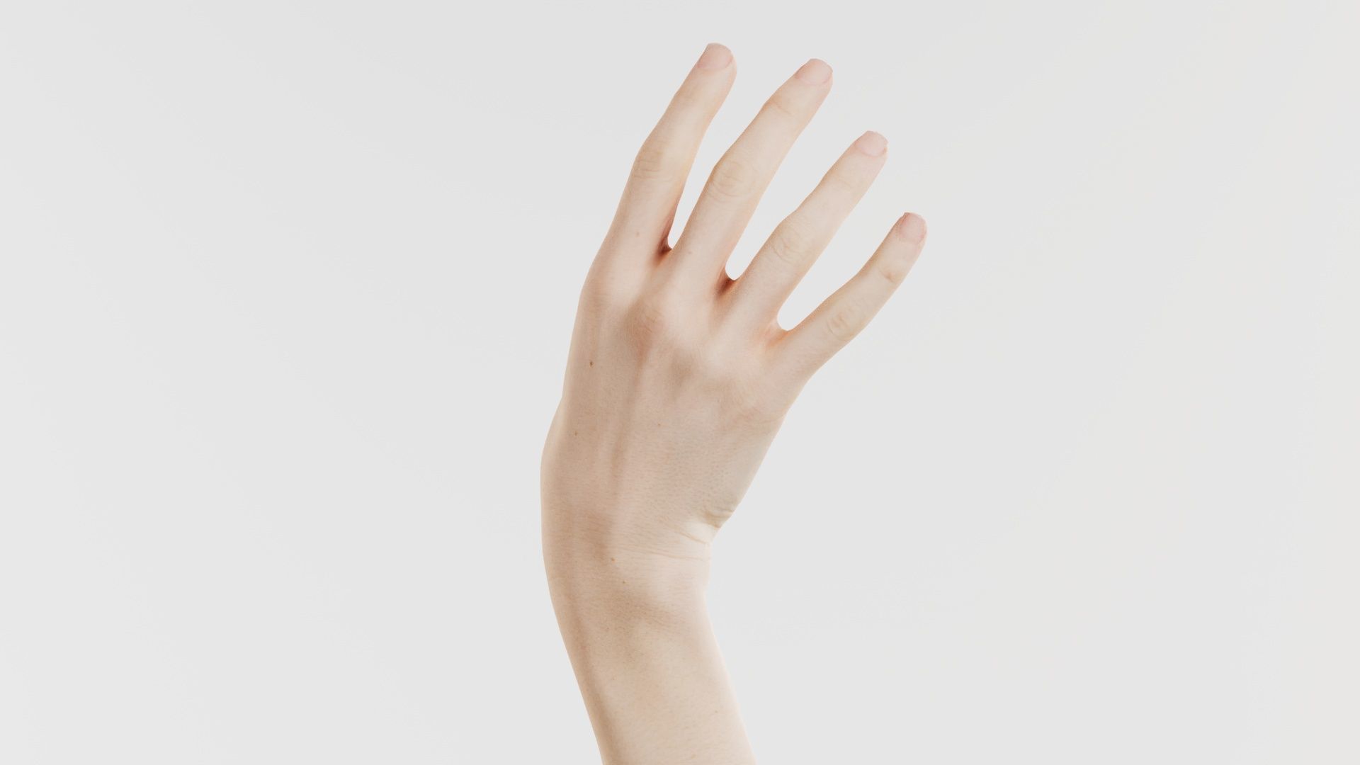 Single Hand 004 Low-poly 3D model_6