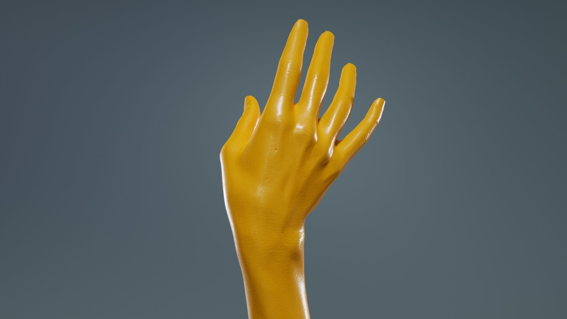 Single Hand 004 Low-poly 3D model_13