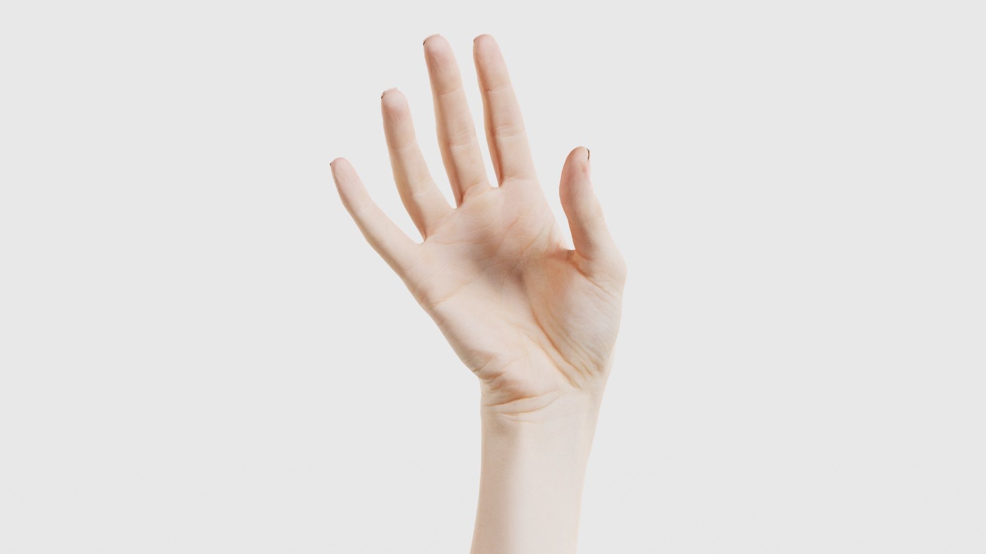 Single Hand 004 Low-poly 3D model_15