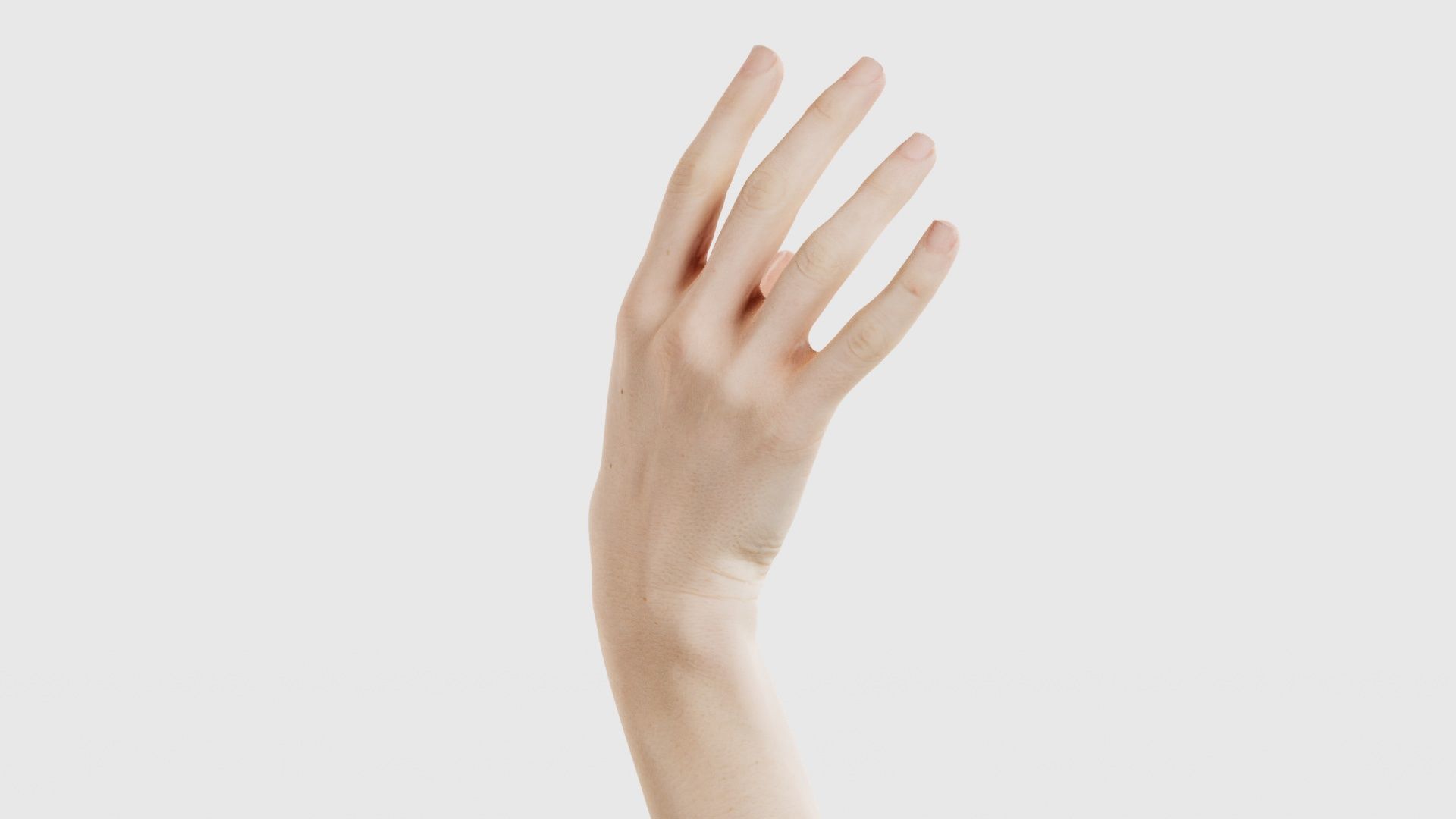 Single Hand 004 Low-poly 3D model_19