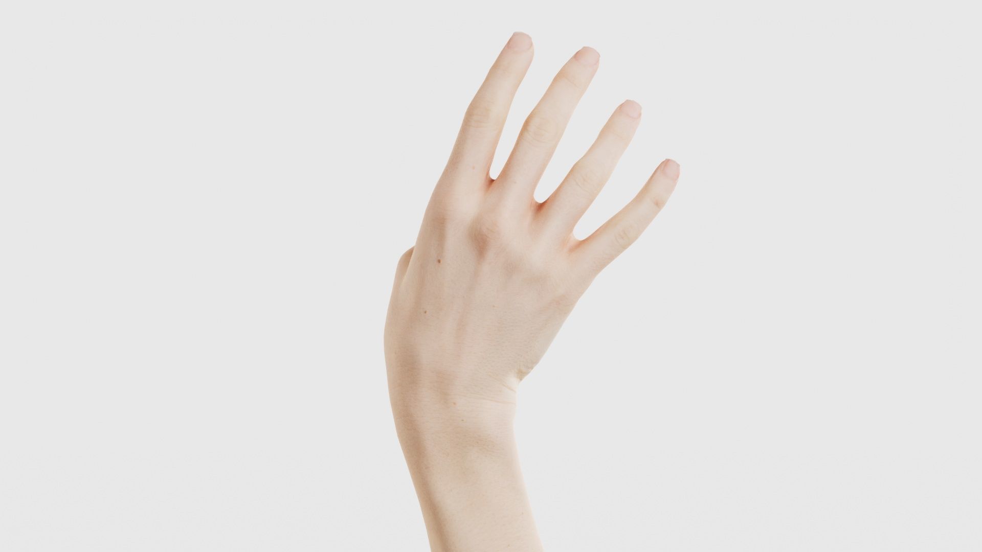 Single Hand 004 Low-poly 3D model_20