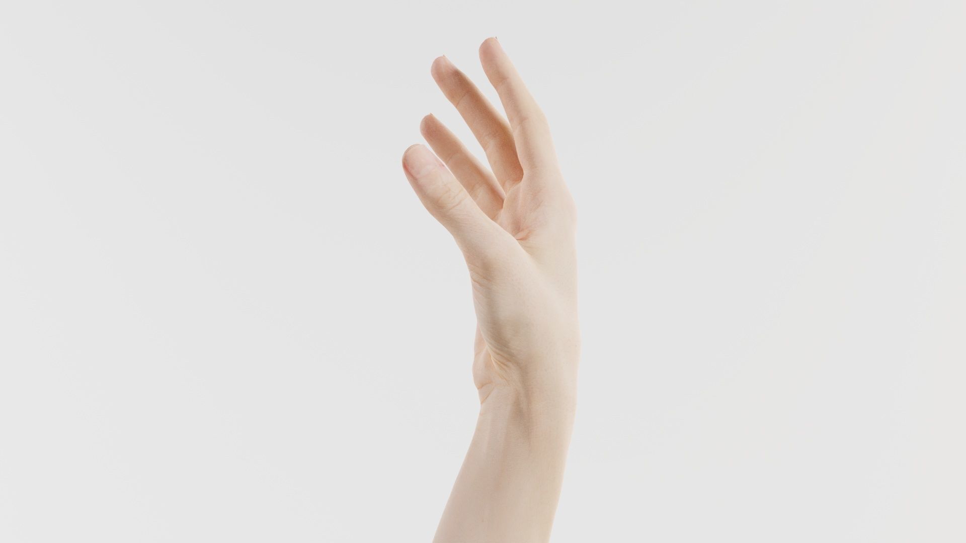 Single Hand 004 Low-poly 3D model_2