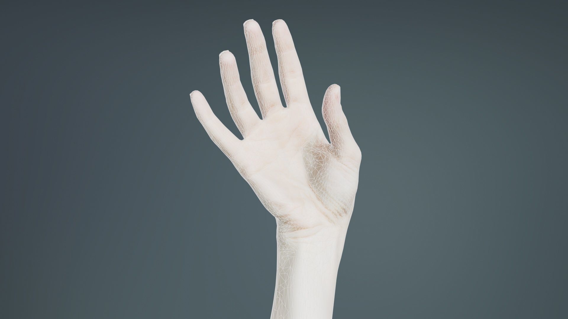 Single Hand 004 Low-poly 3D model_9