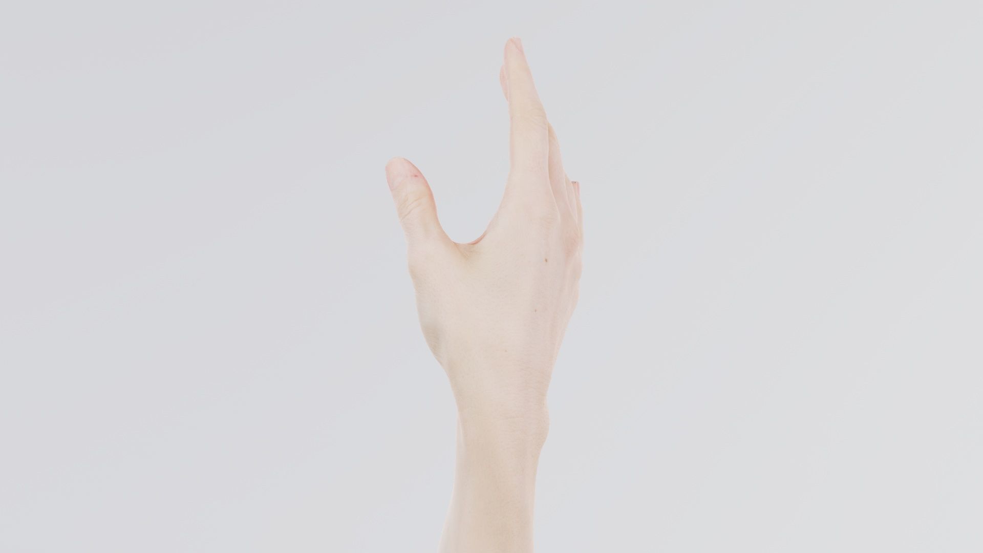 Single Hand 004 Low-poly 3D model_5