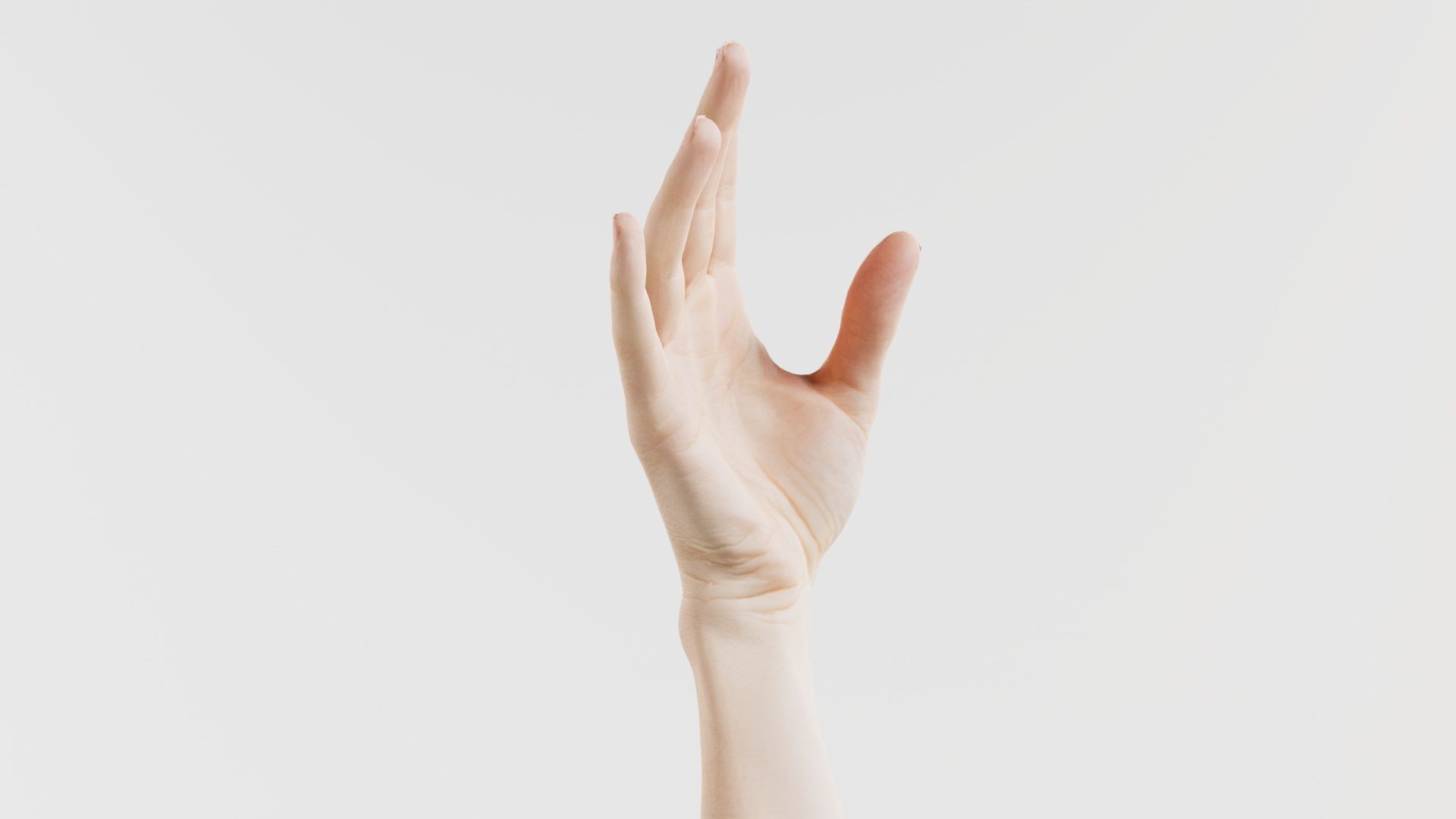 Single Hand 004 Low-poly 3D model_1