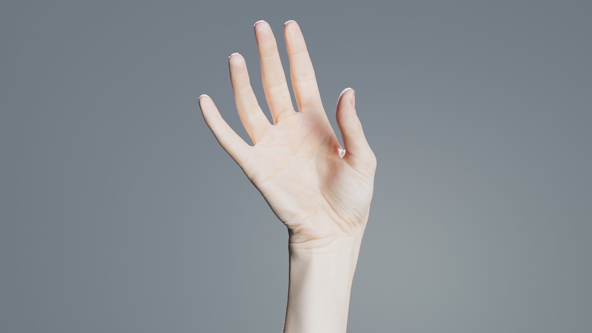 Single Hand 004 Low-poly 3D model_4
