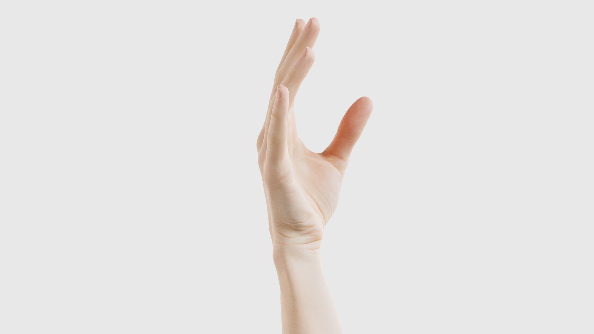 Single Hand 004 Low-poly 3D model_17