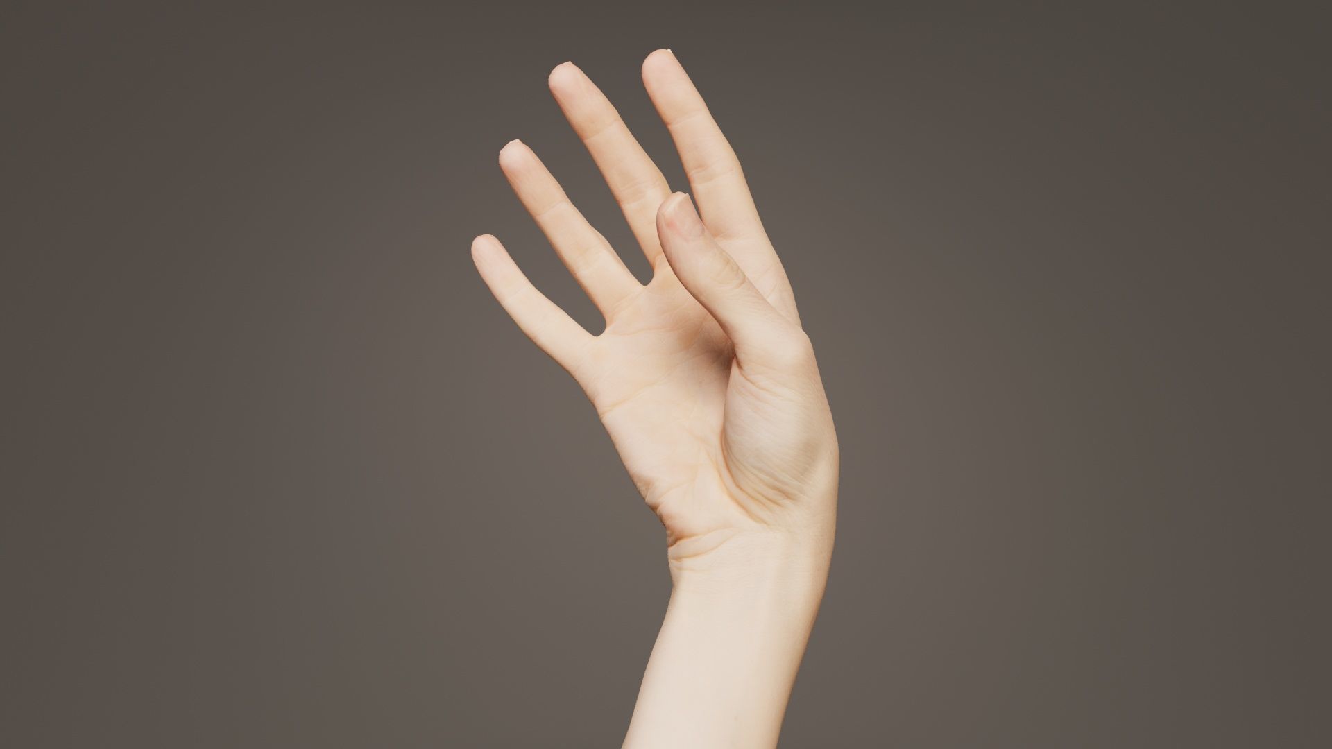 Single Hand 004 Low-poly 3D model_8
