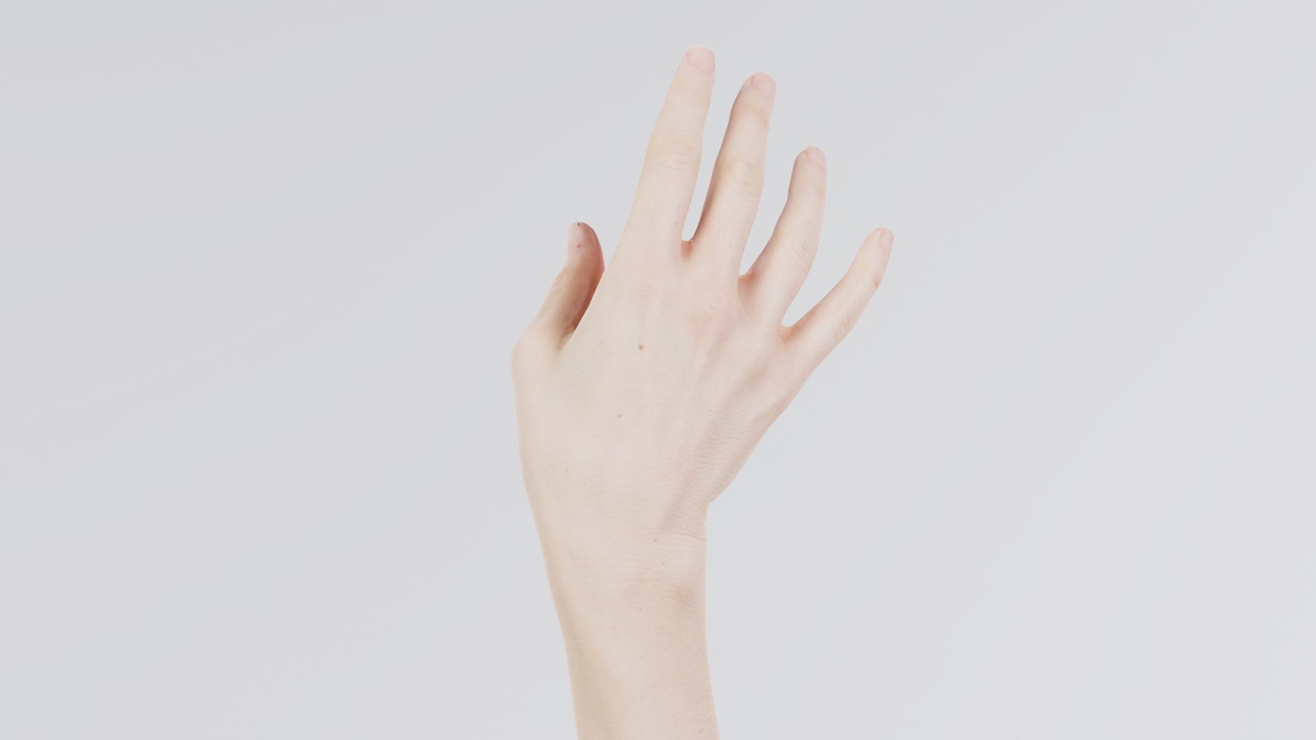 Single Hand 004 Low-poly 3D model_7