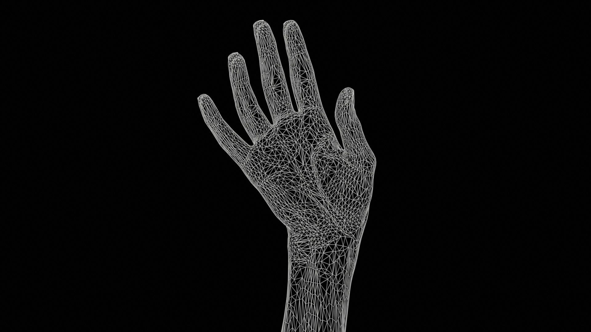 Single Hand 004 Low-poly 3D model_11