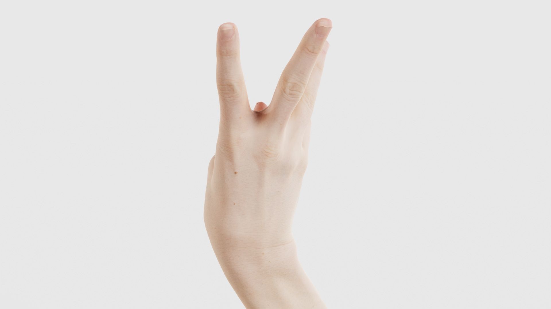 Single Hand 007 Low-poly 3D model_23