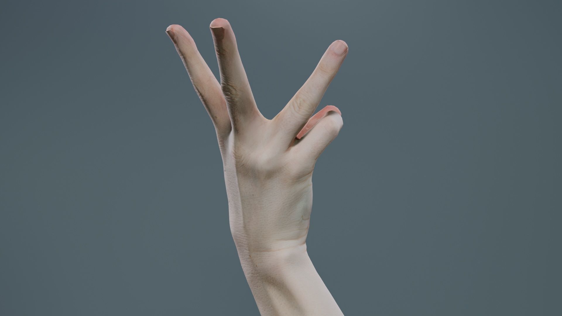 Single Hand 007 Low-poly 3D model_3