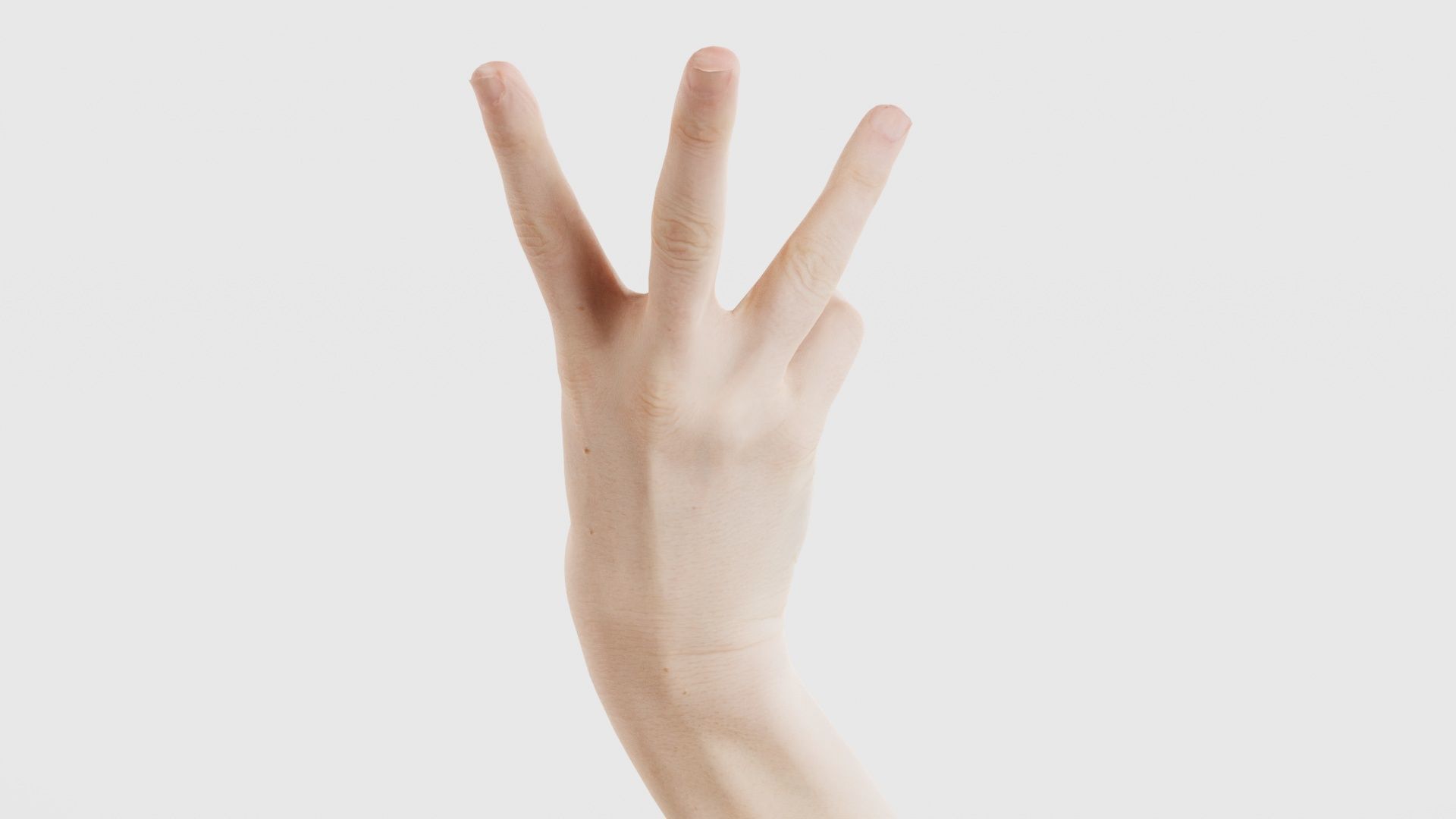 Single Hand 007 Low-poly 3D model_22