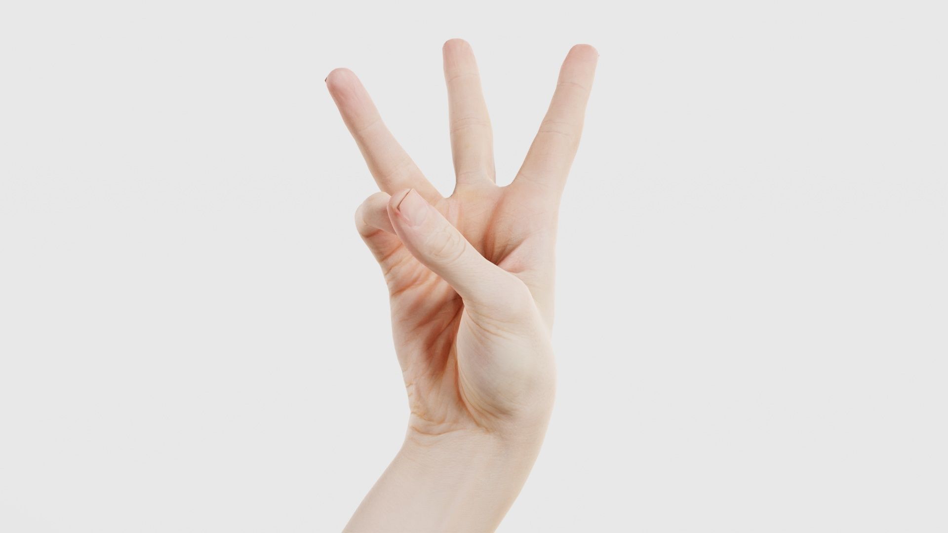 Single Hand 007 Low-poly 3D model_16