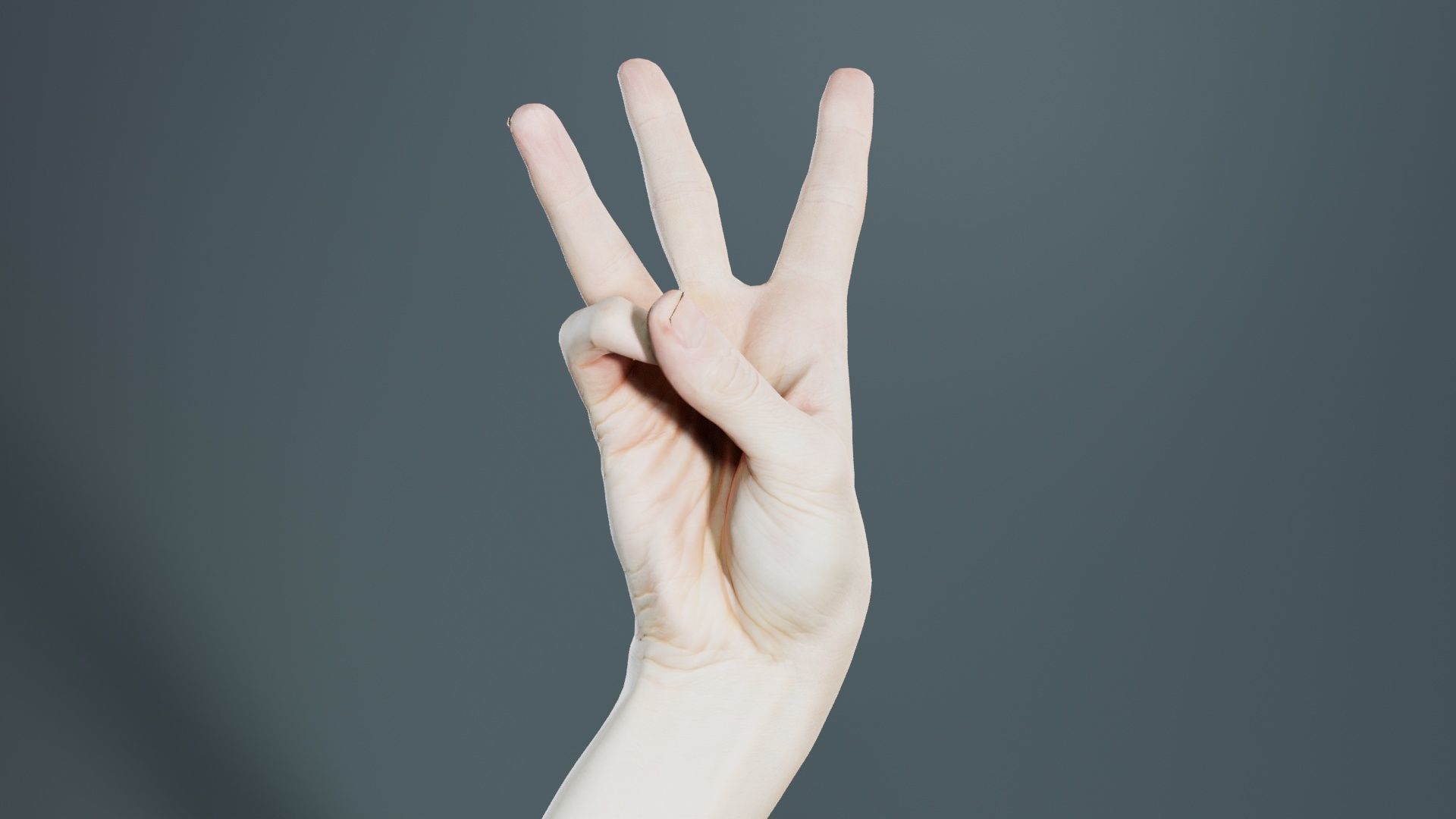 Single Hand 007 Low-poly 3D model_1