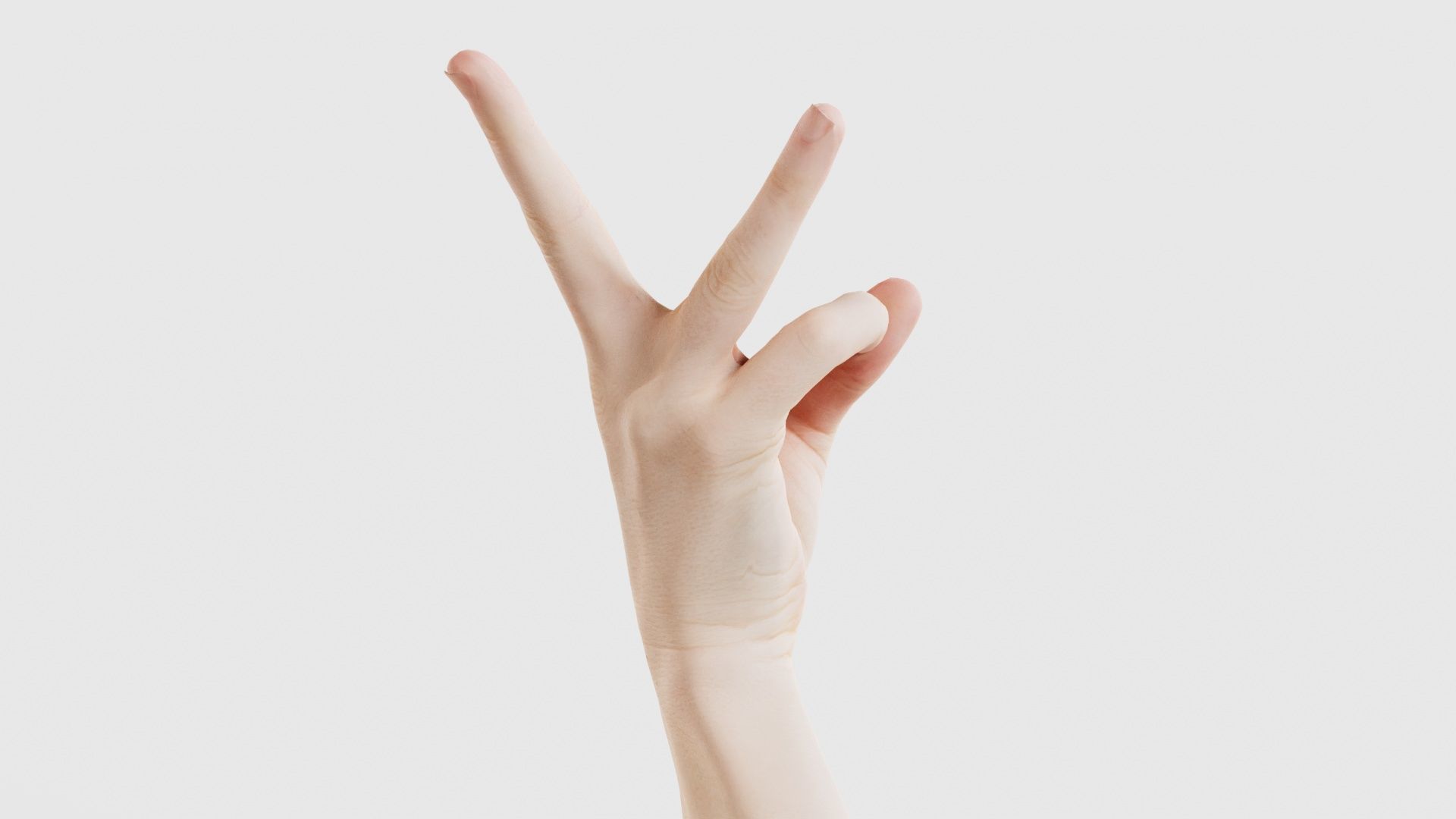 Single Hand 007 Low-poly 3D model_20