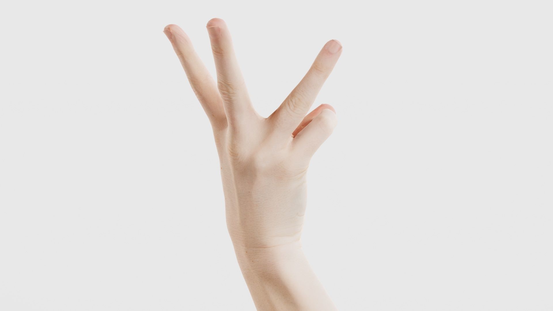 Single Hand 007 Low-poly 3D model_21