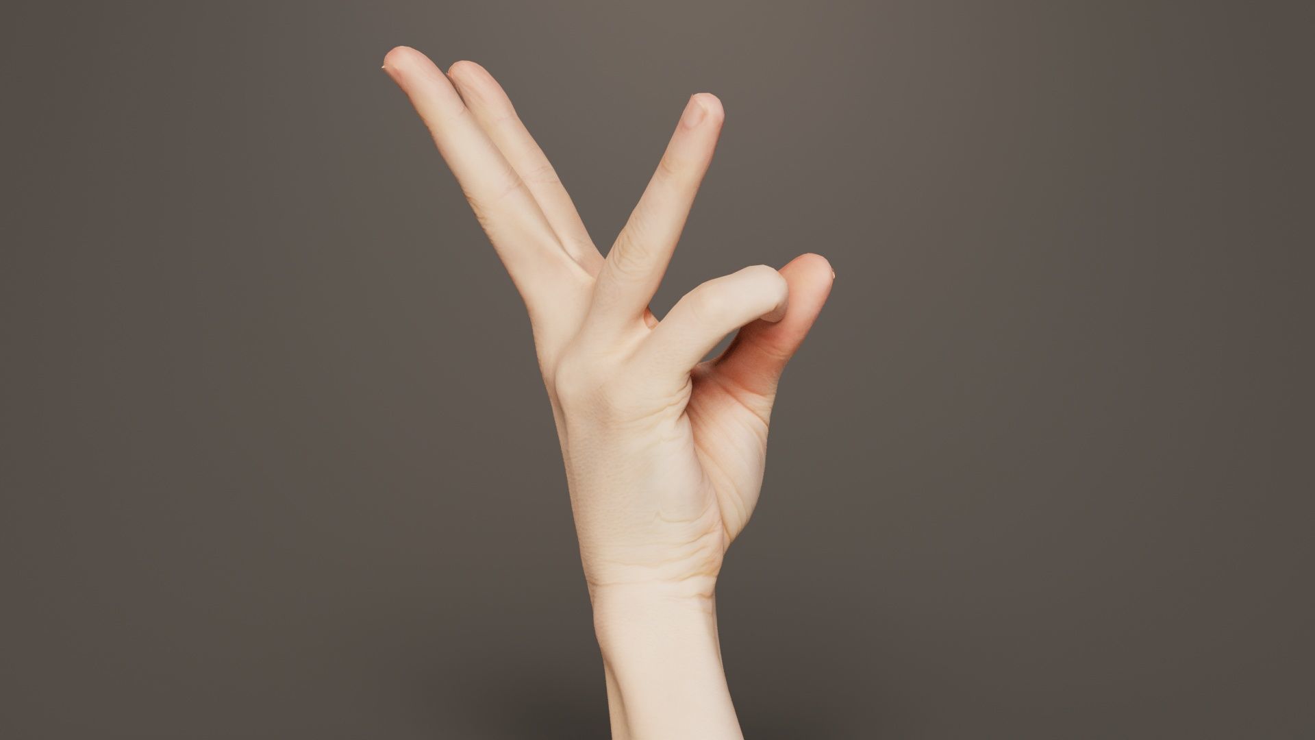 Single Hand 007 Low-poly 3D model_6