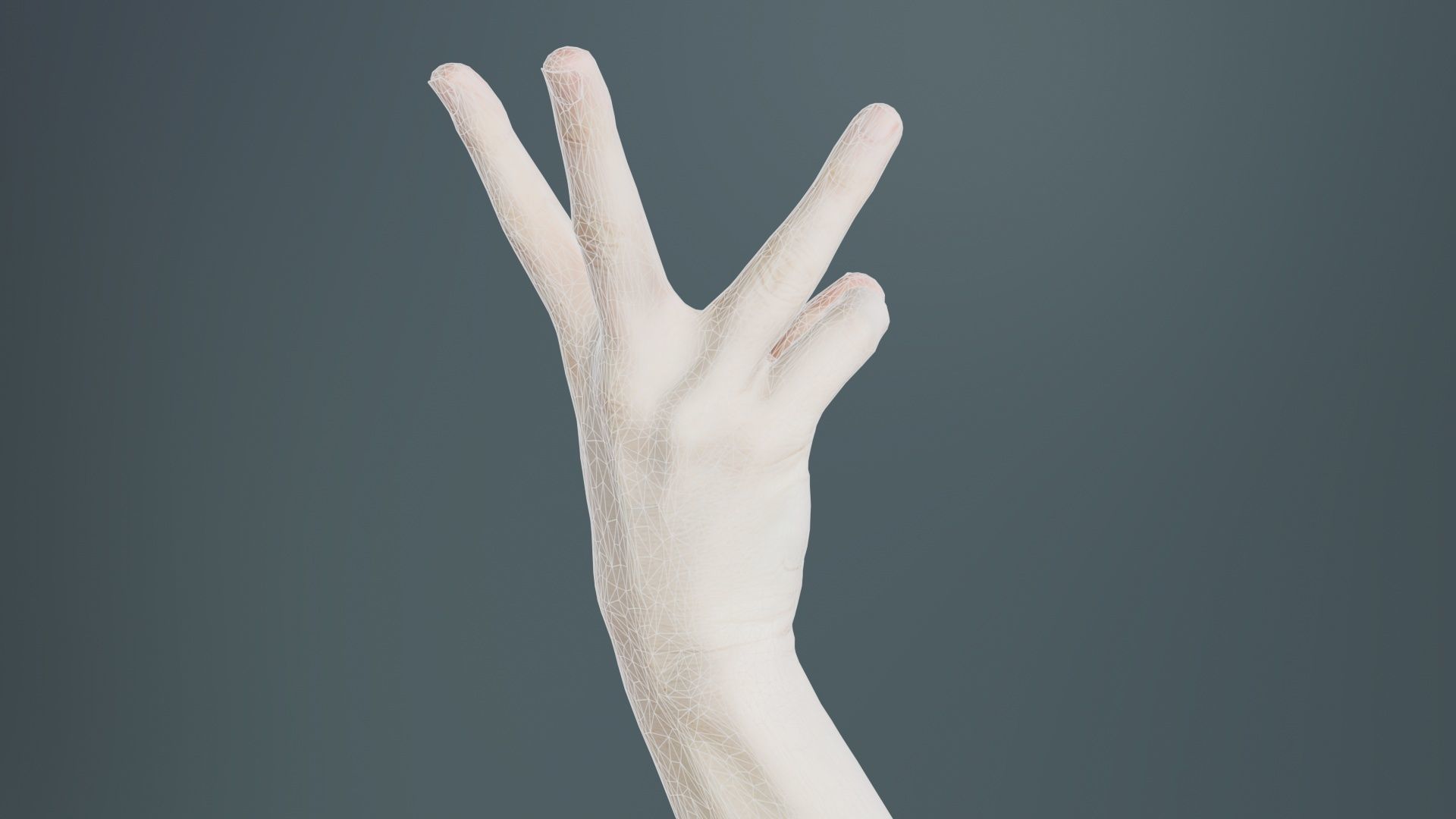 Single Hand 007 Low-poly 3D model_10