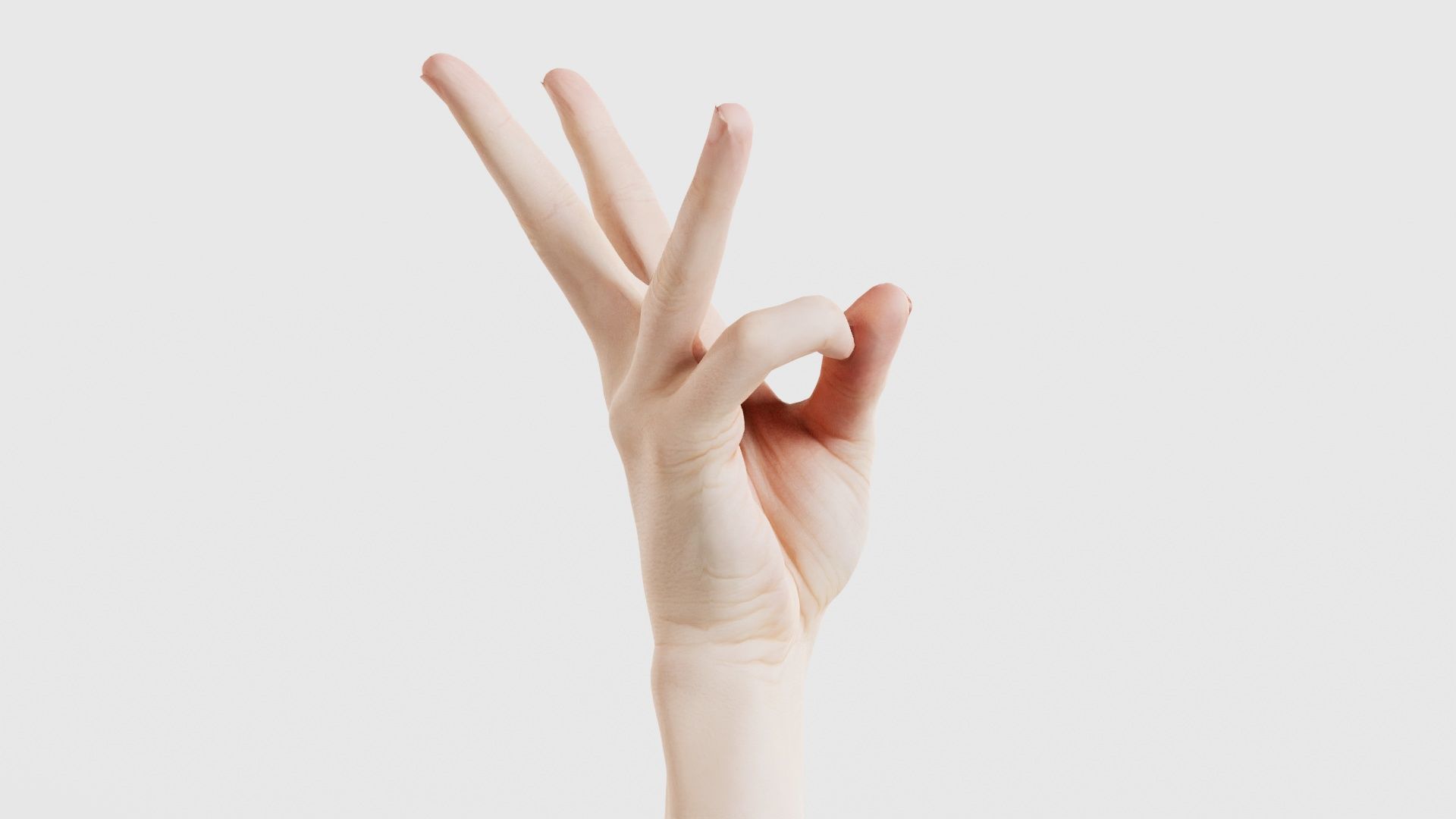 Single Hand 007 Low-poly 3D model_19