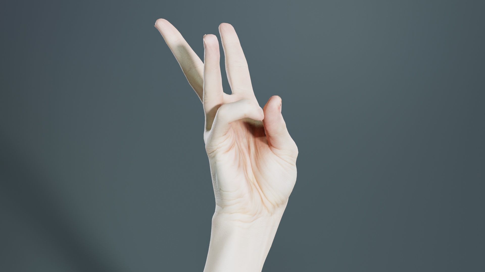 Single Hand 007 Low-poly 3D model_4