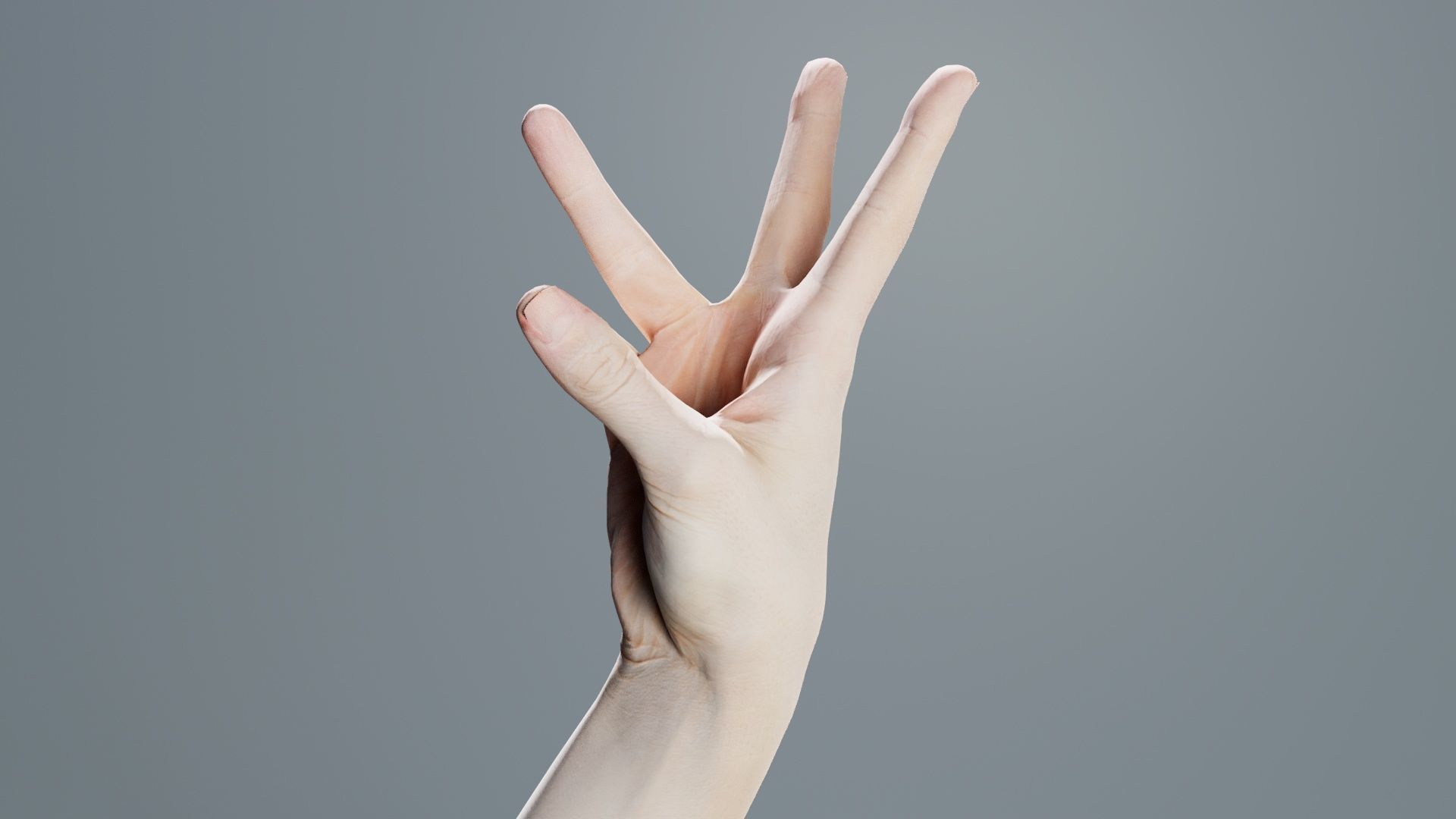 Single Hand 007 Low-poly 3D model_8