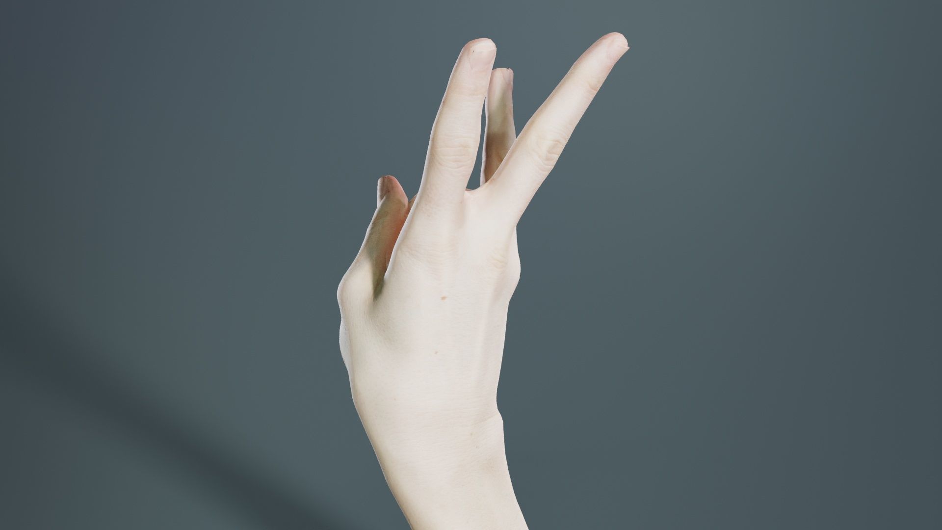 Single Hand 007 Low-poly 3D model_2