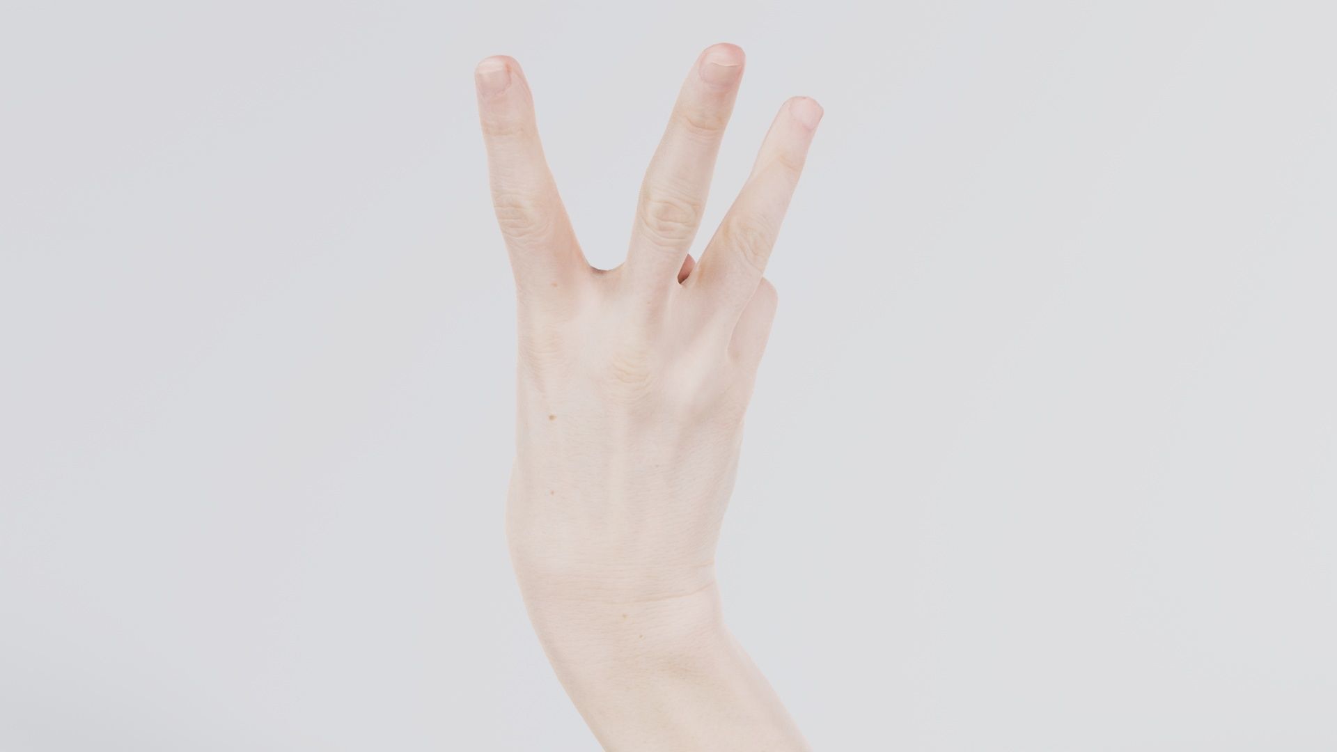 Single Hand 007 Low-poly 3D model_7