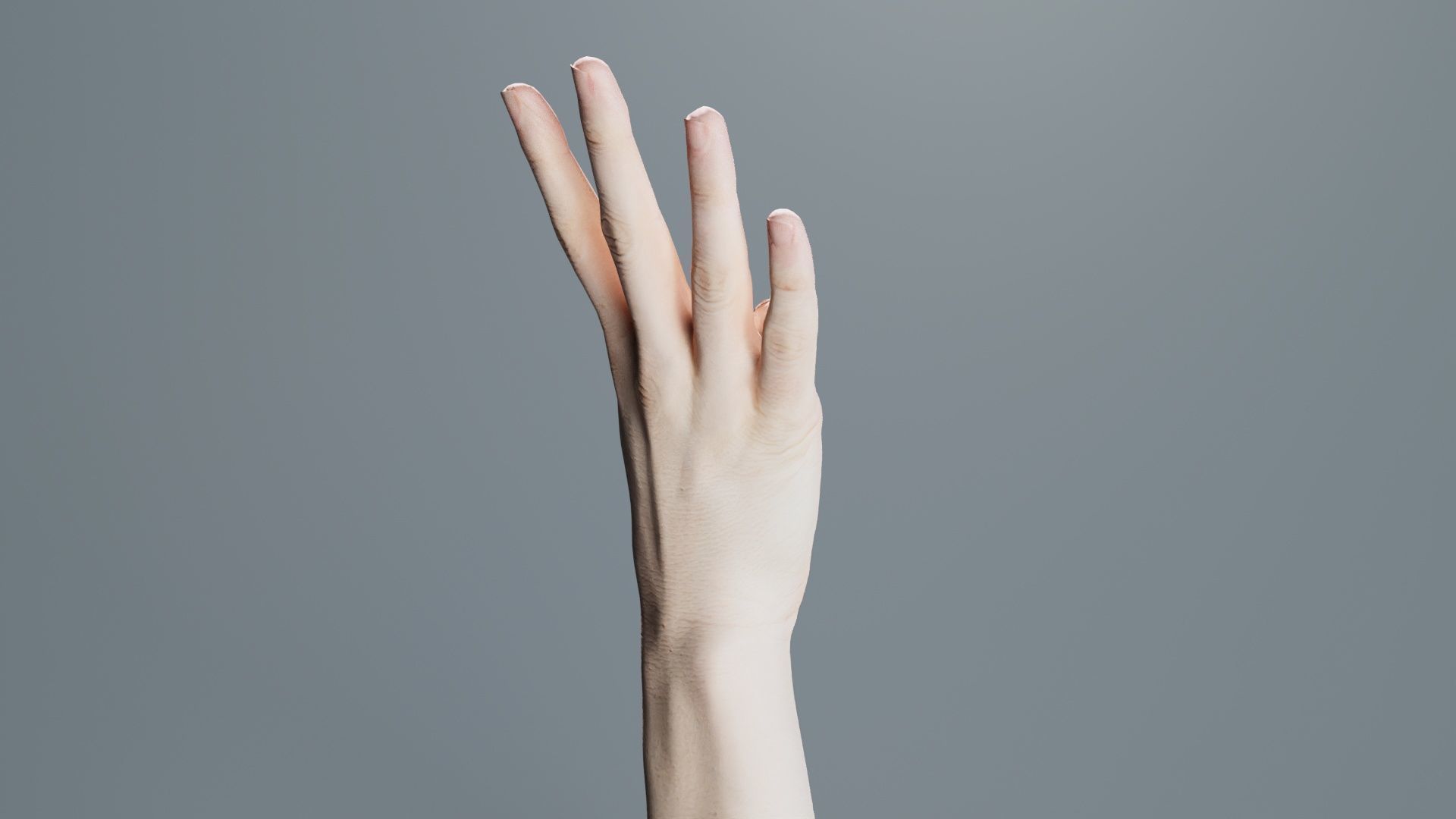 Single Hand 009 Low-poly 3D model_2