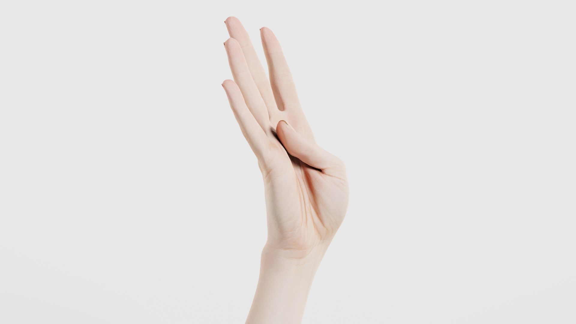 Single Hand 009 Low-poly 3D model_17