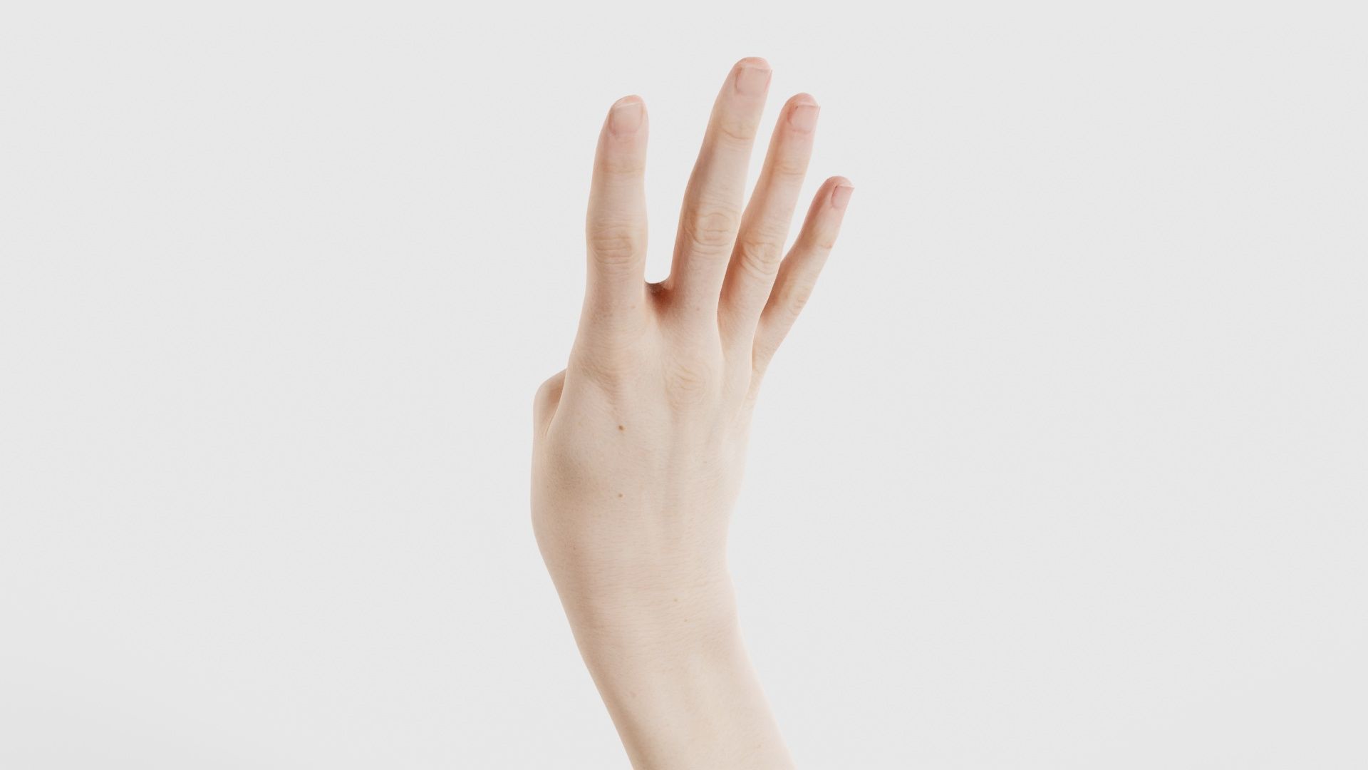 Single Hand 009 Low-poly 3D model_22