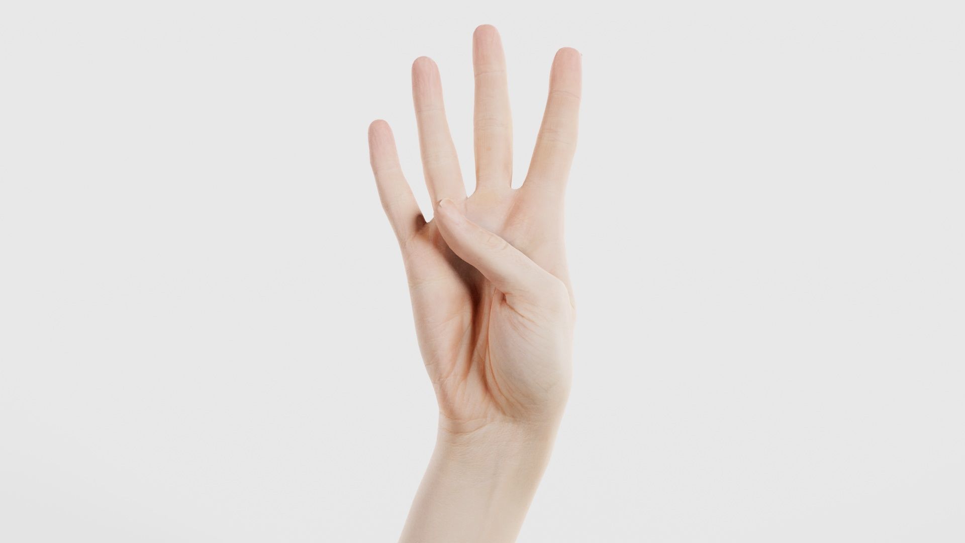 Single Hand 009 Low-poly 3D model_15