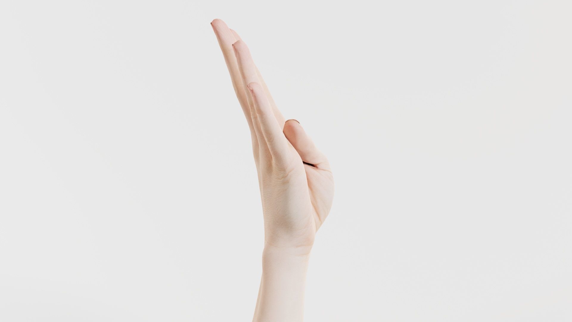 Single Hand 009 Low-poly 3D model_5