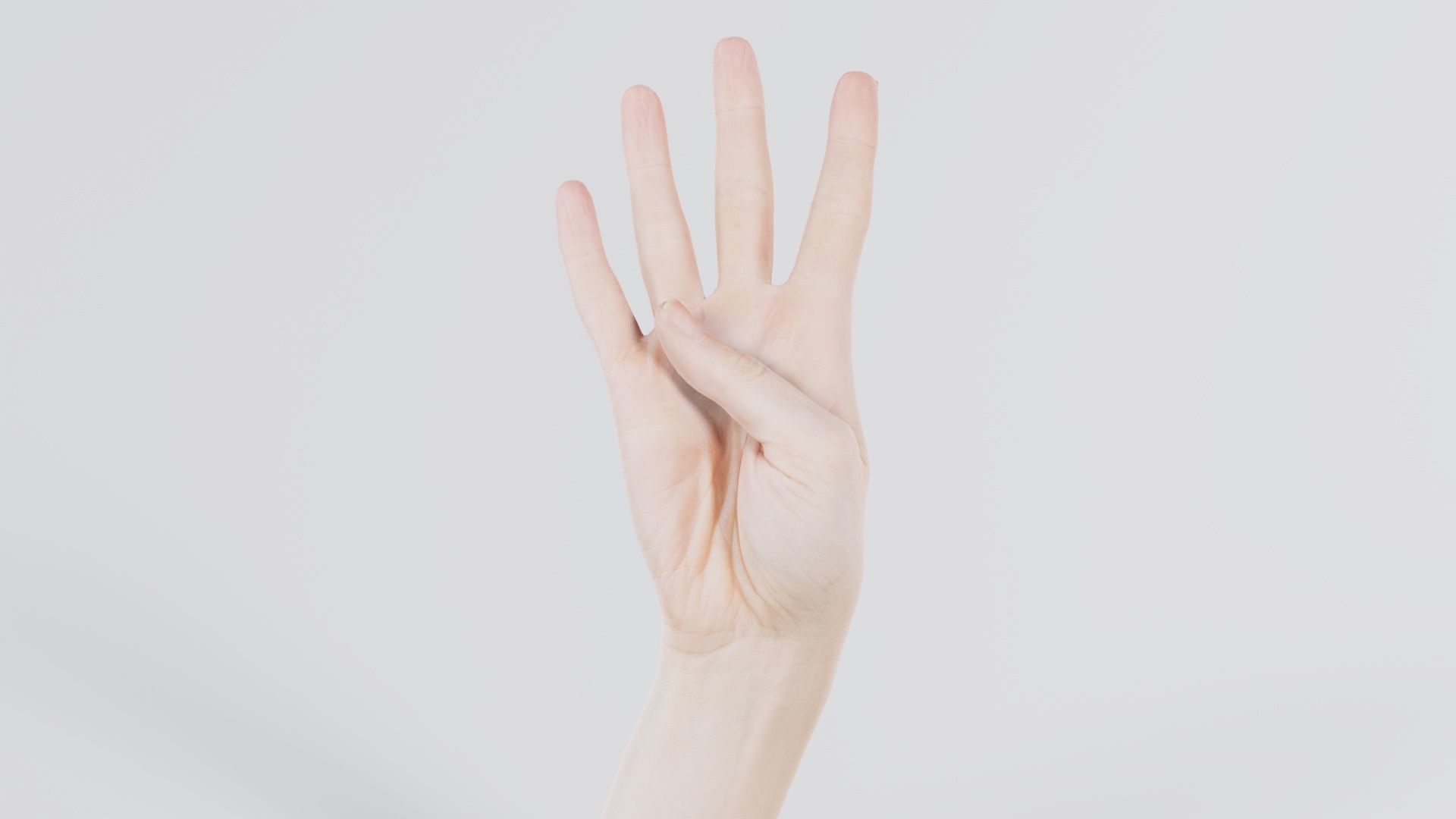 Single Hand 009 Low-poly 3D model_7