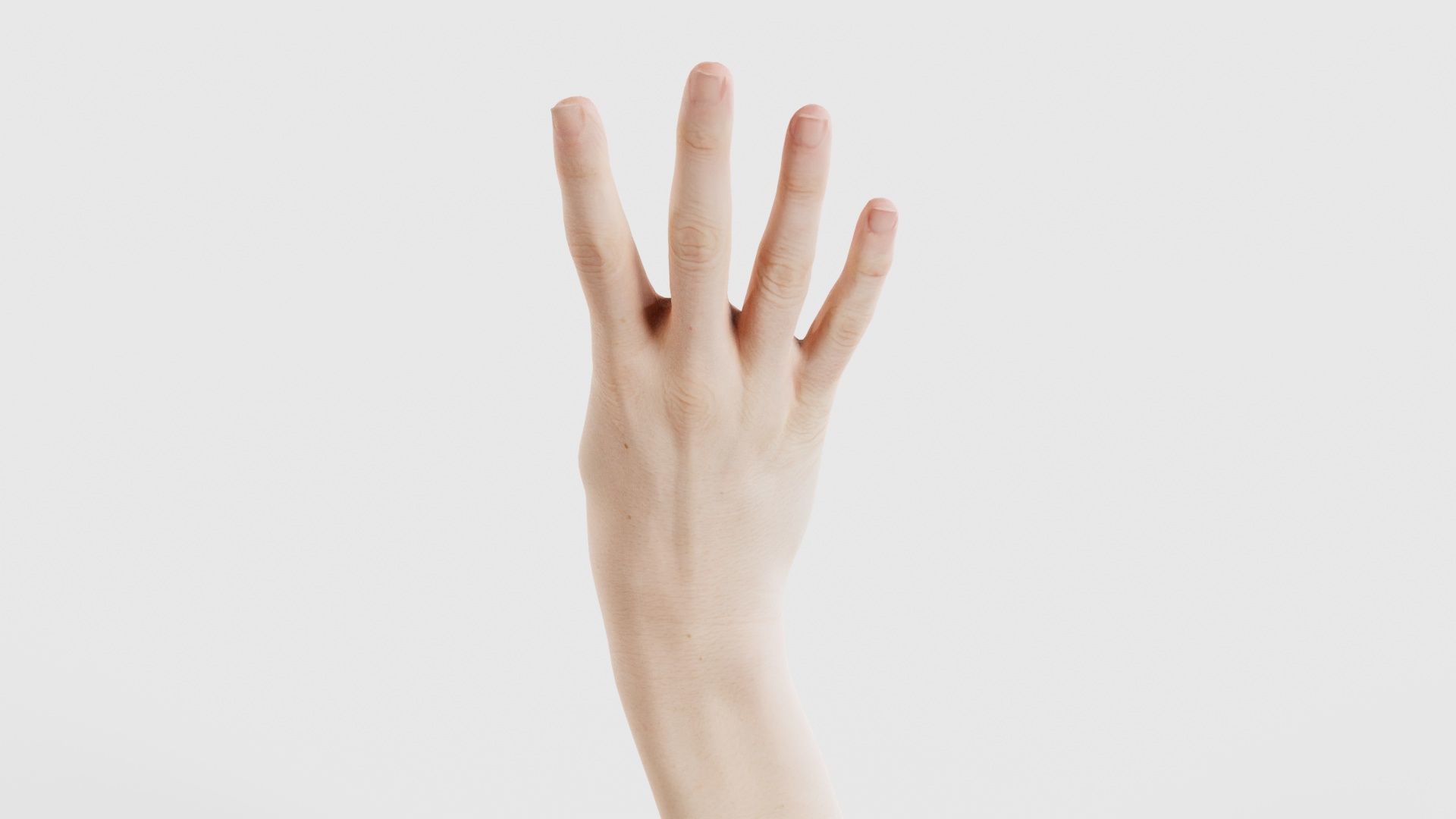 Single Hand 009 Low-poly 3D model_21