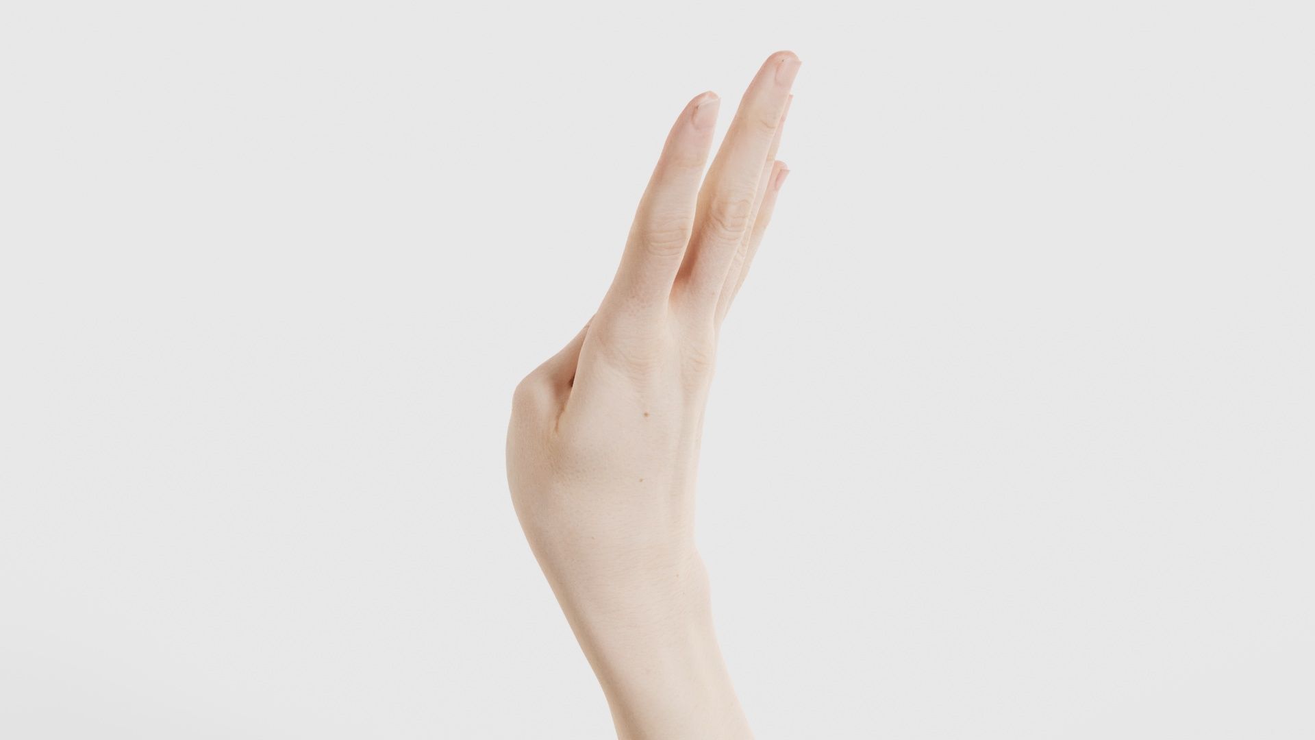 Single Hand 009 Low-poly 3D model_23